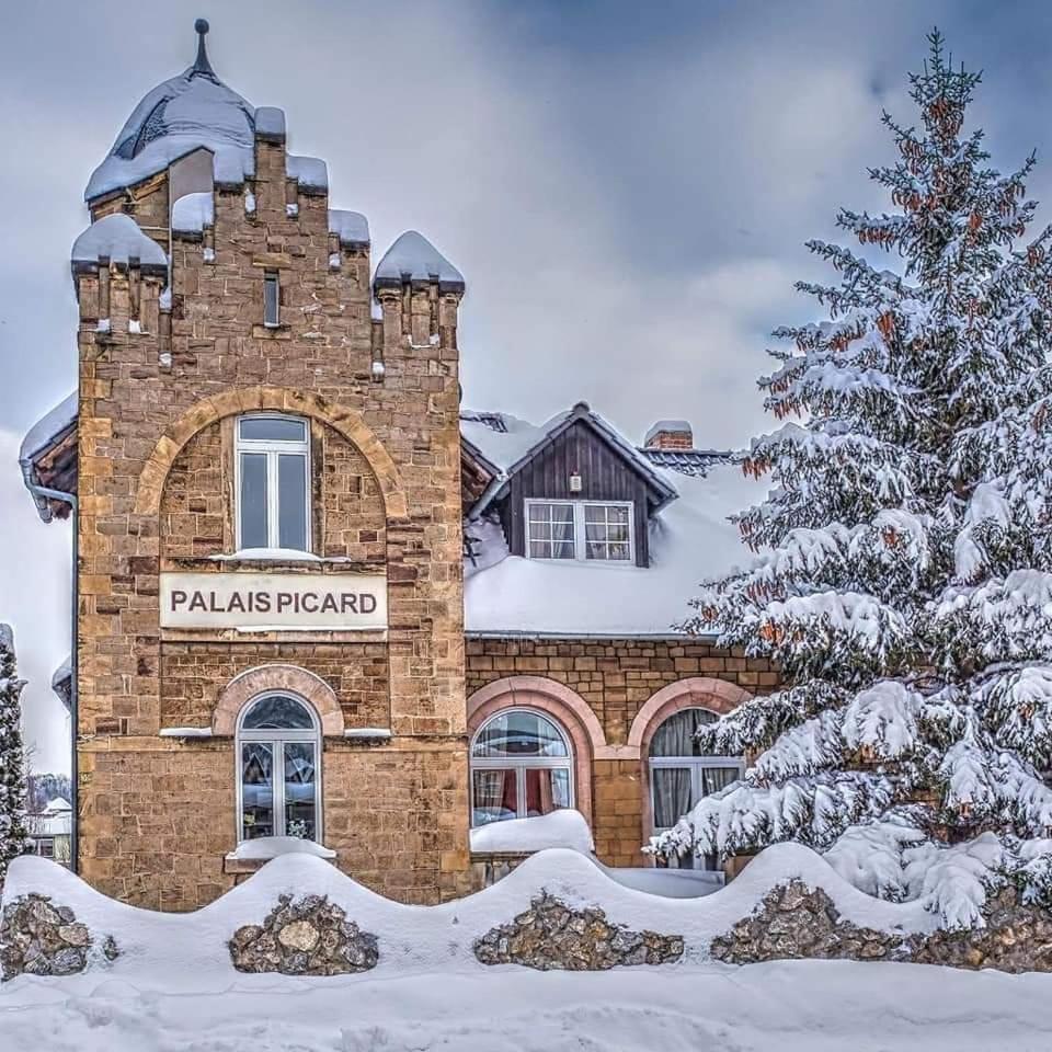 Palais Picard Westfluegel Villa Thale Bagian luar foto